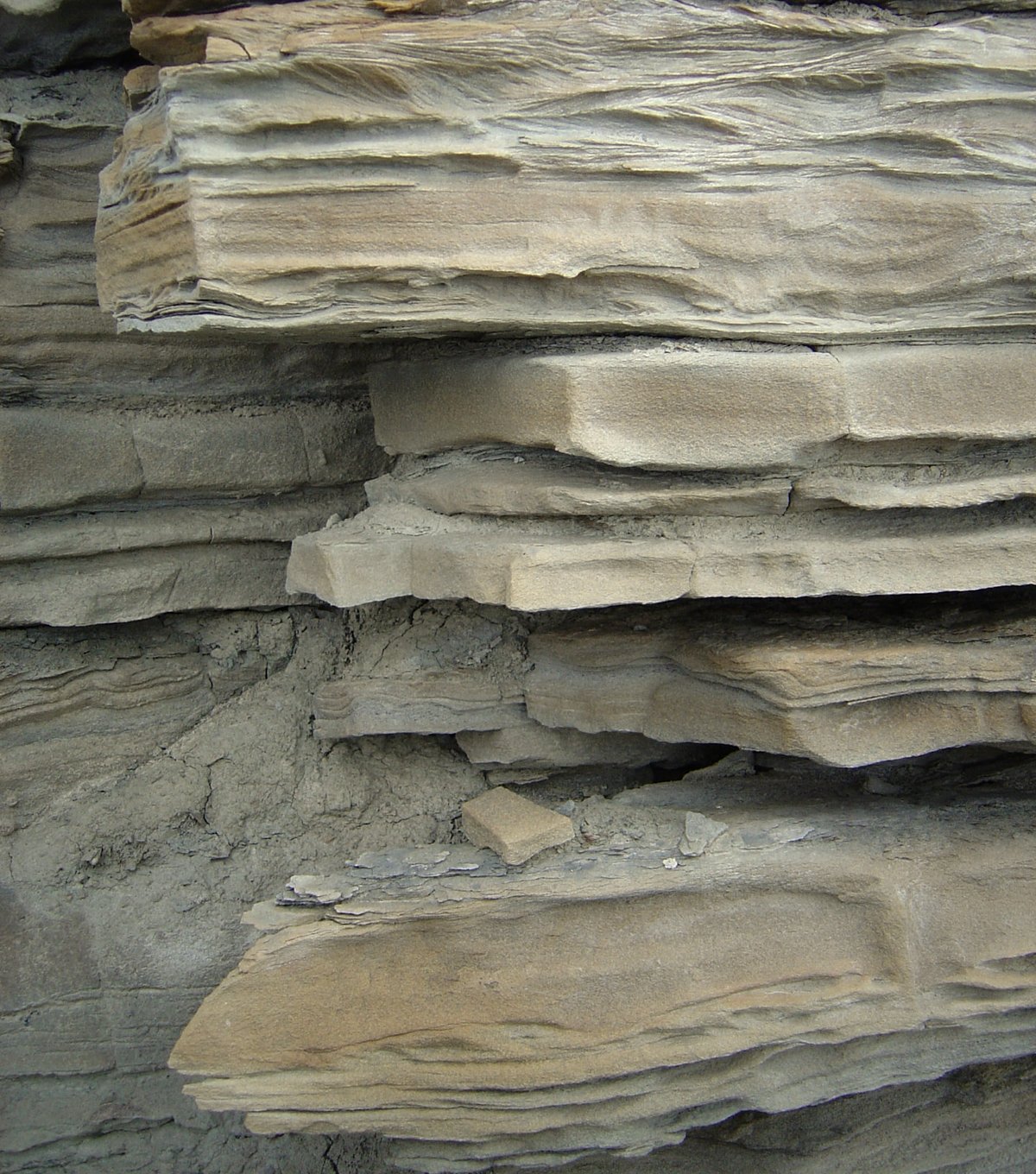 Closely layered sedimentary rock in warm gray and mineral tones