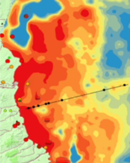 Potential-field map detail showing contrasting spatial patterns and survey annotations.