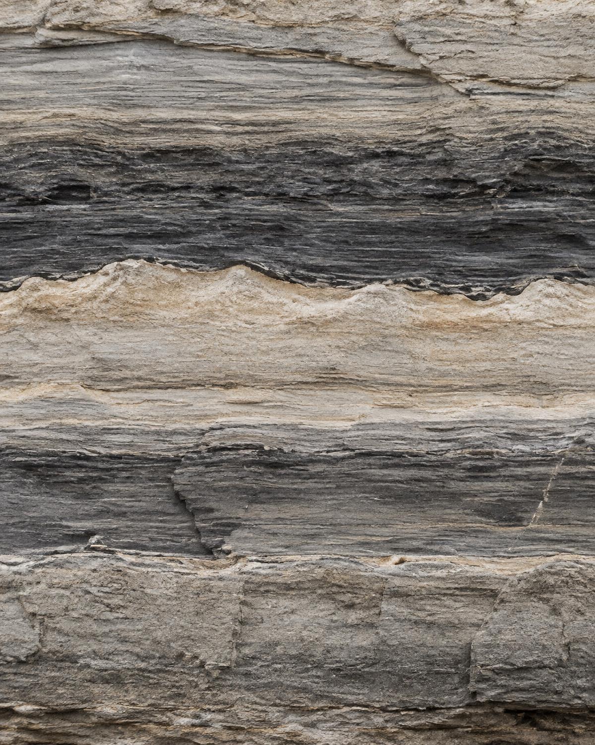 Closely layered sedimentary rock in warm gray and mineral tones